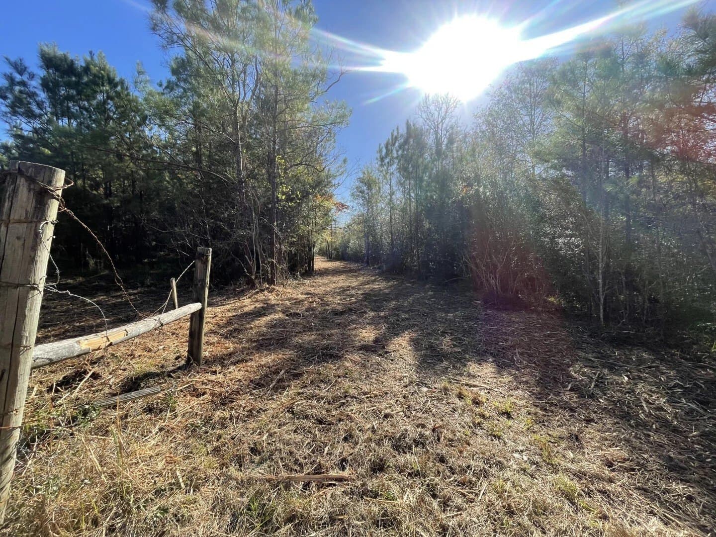 6.64 acres in Polk County - photo 17