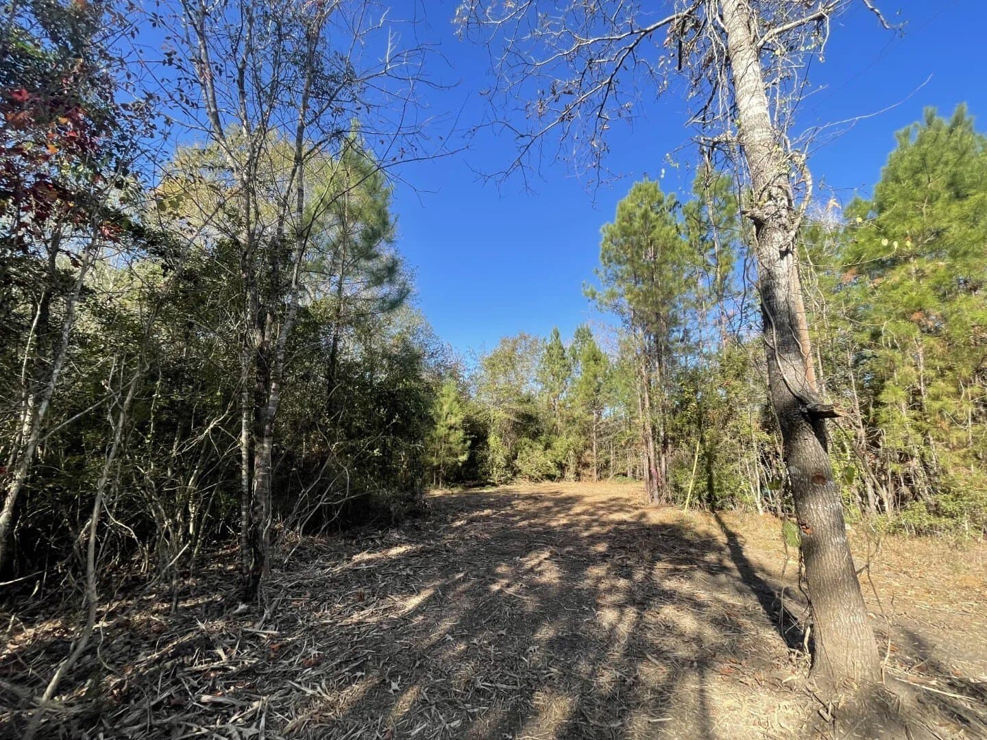6.64 acres in Polk County - photo 29