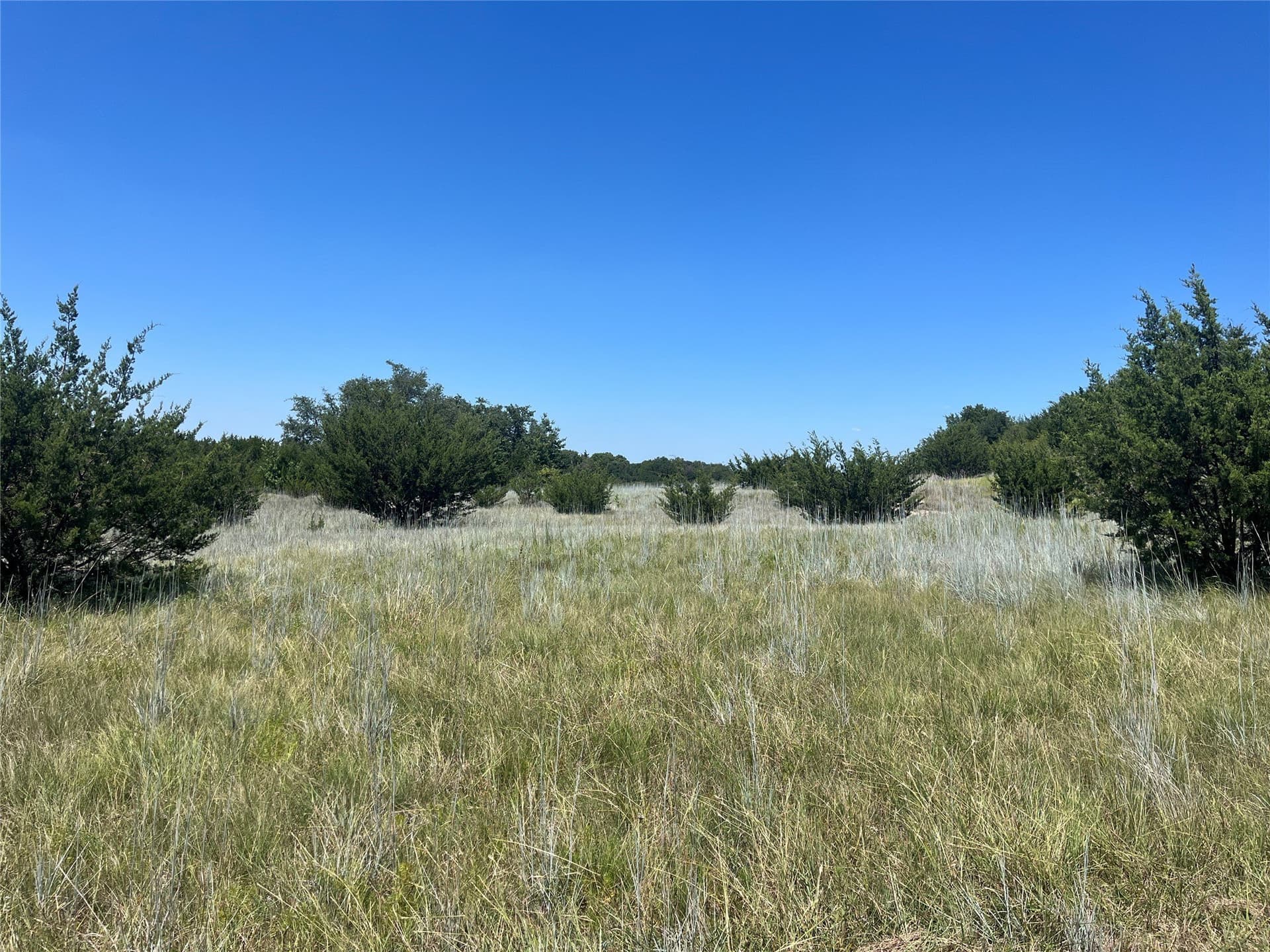 10 acres in Erath County - photo 7