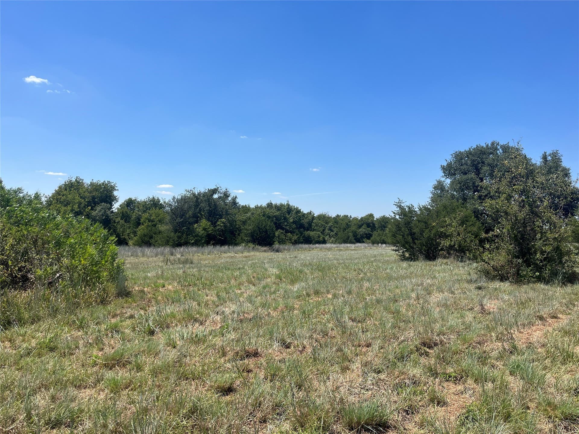 10 acres in Erath County - photo 4