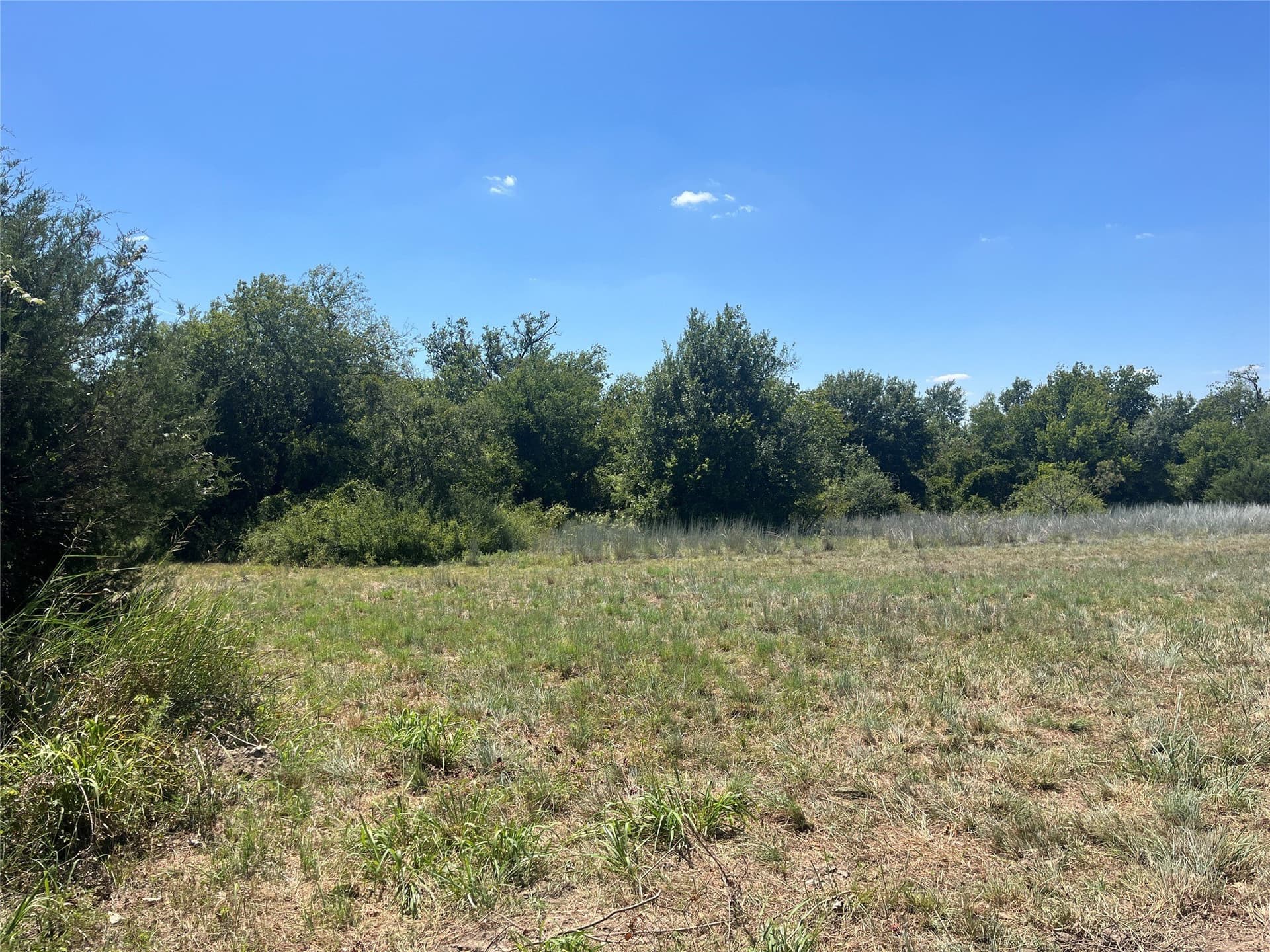 10 acres in Erath County - photo 3