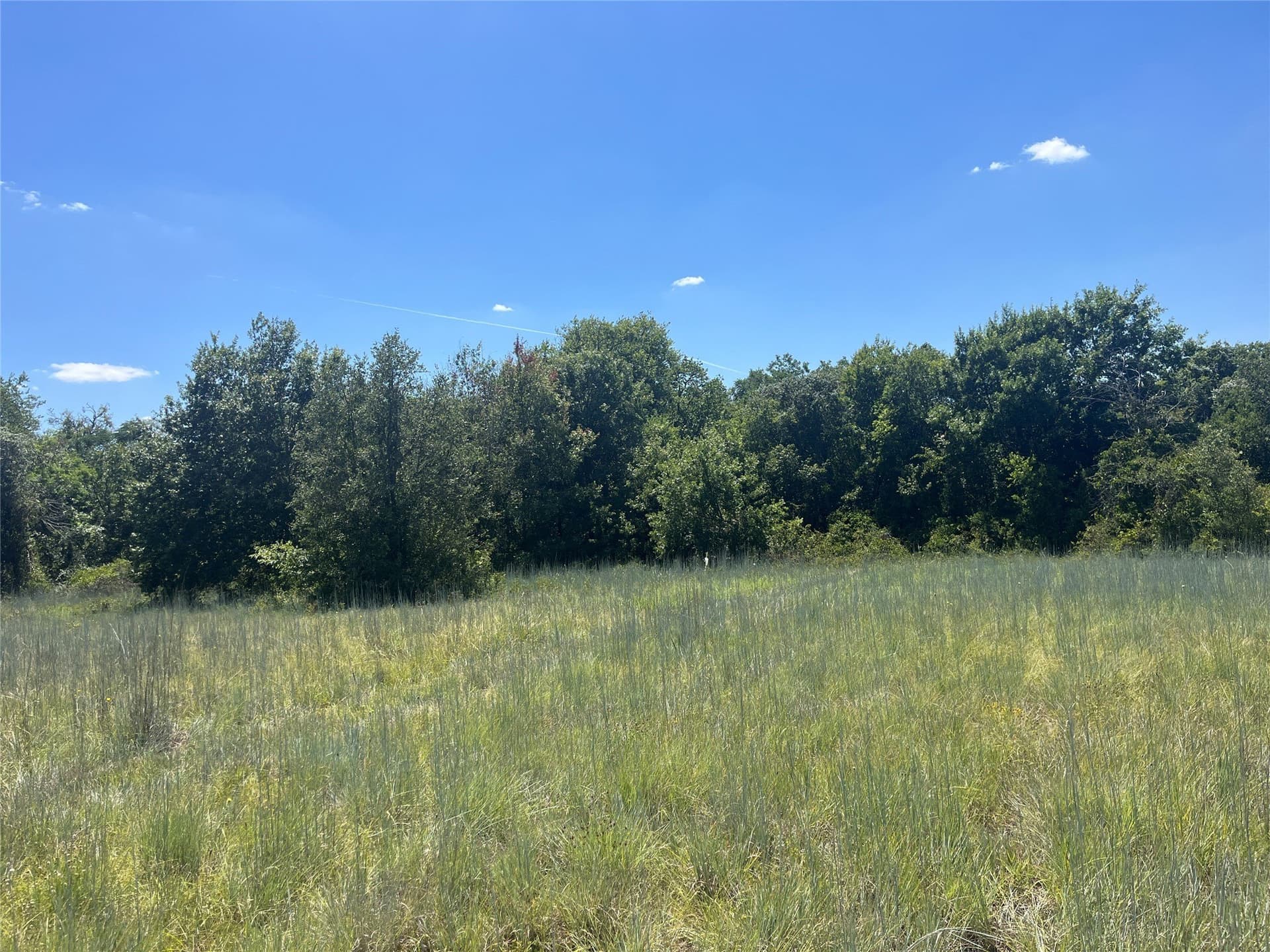 10 acres in Erath County - photo 6
