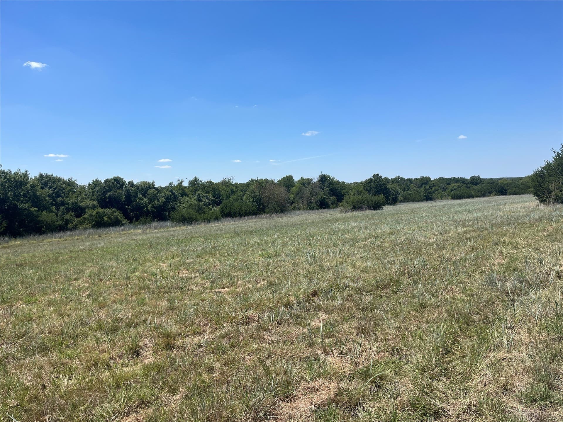 10 acres in Erath County - photo 5