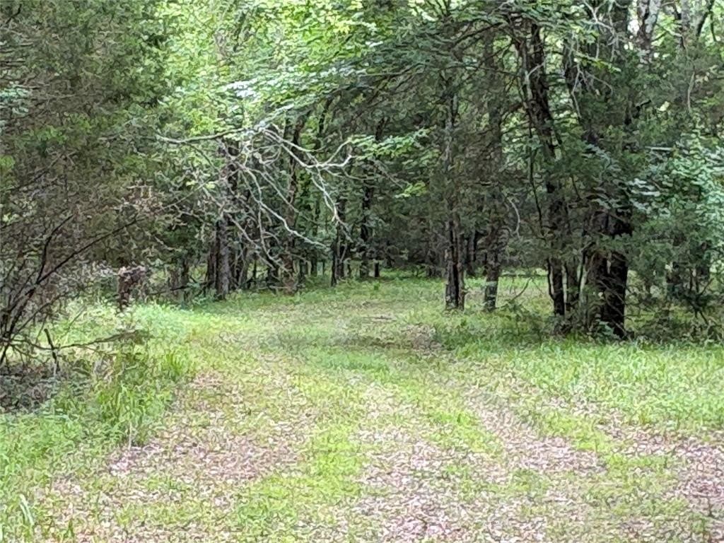54.38 acres in Hopkins County gallery image 4