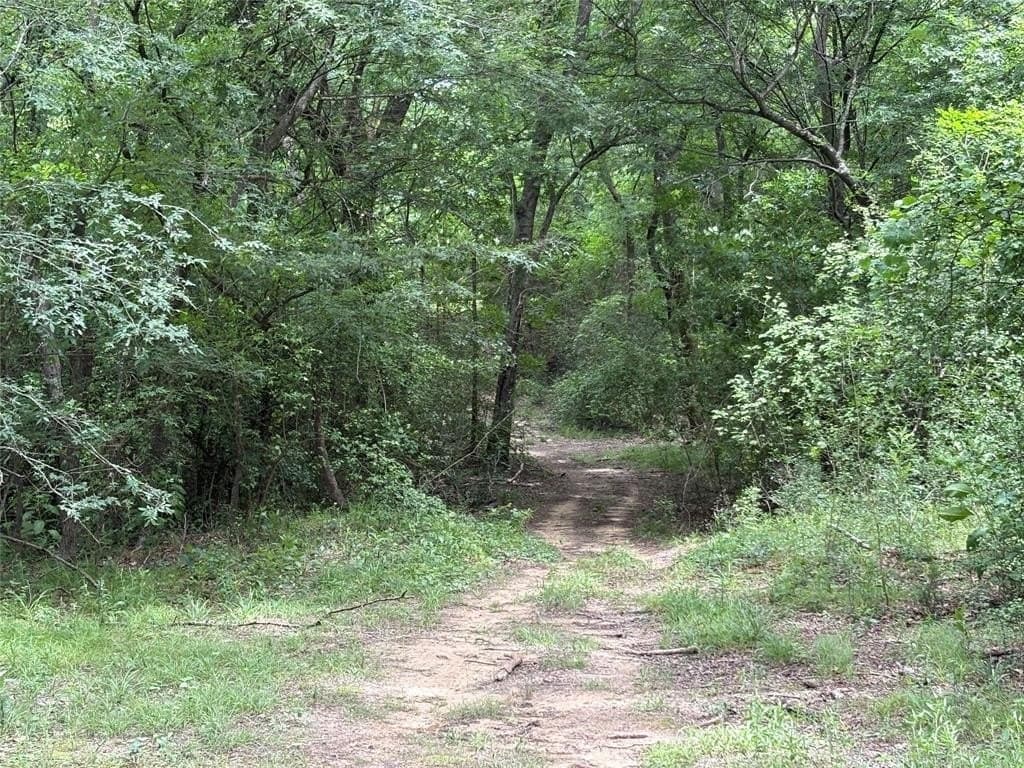 54.38 acres in Hopkins County featured view