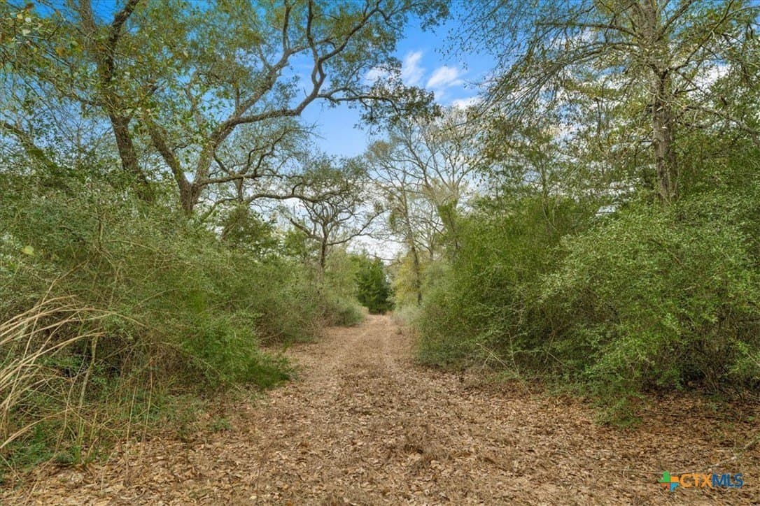 79.76 acres in Lavaca County featured view