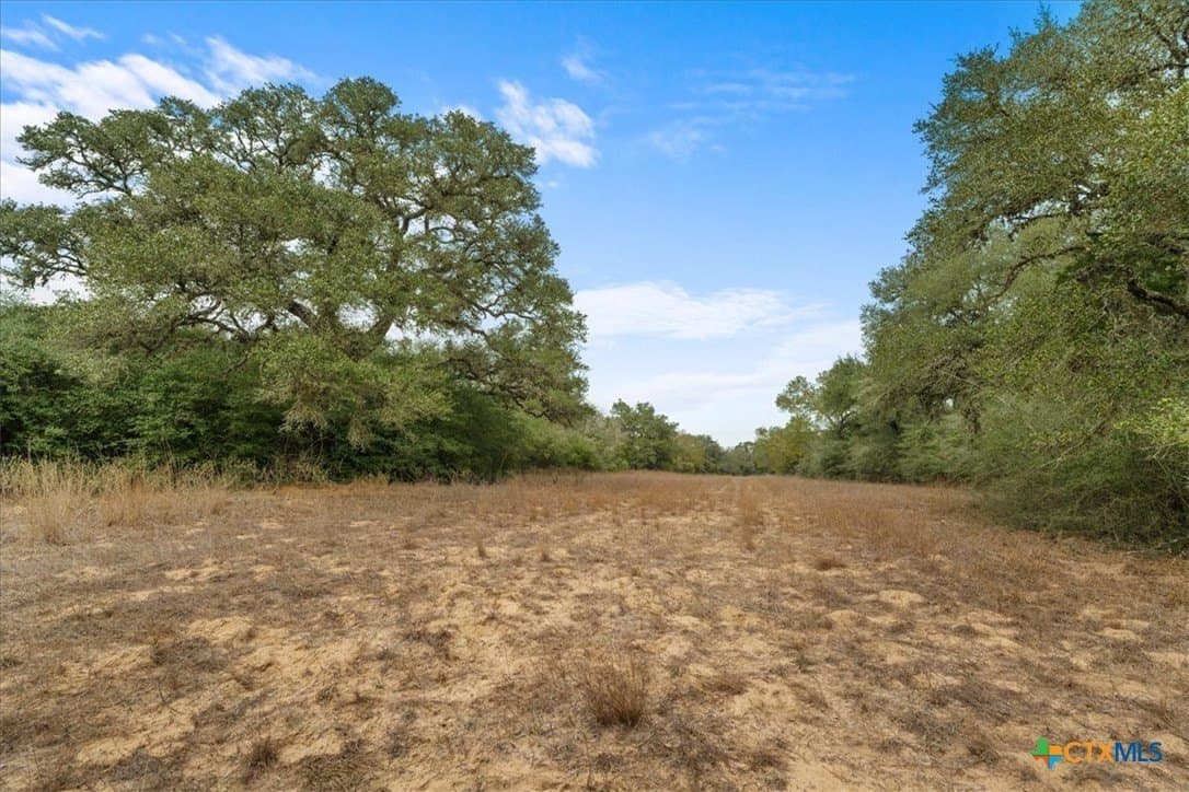 79.76 acres in Lavaca County gallery image 4