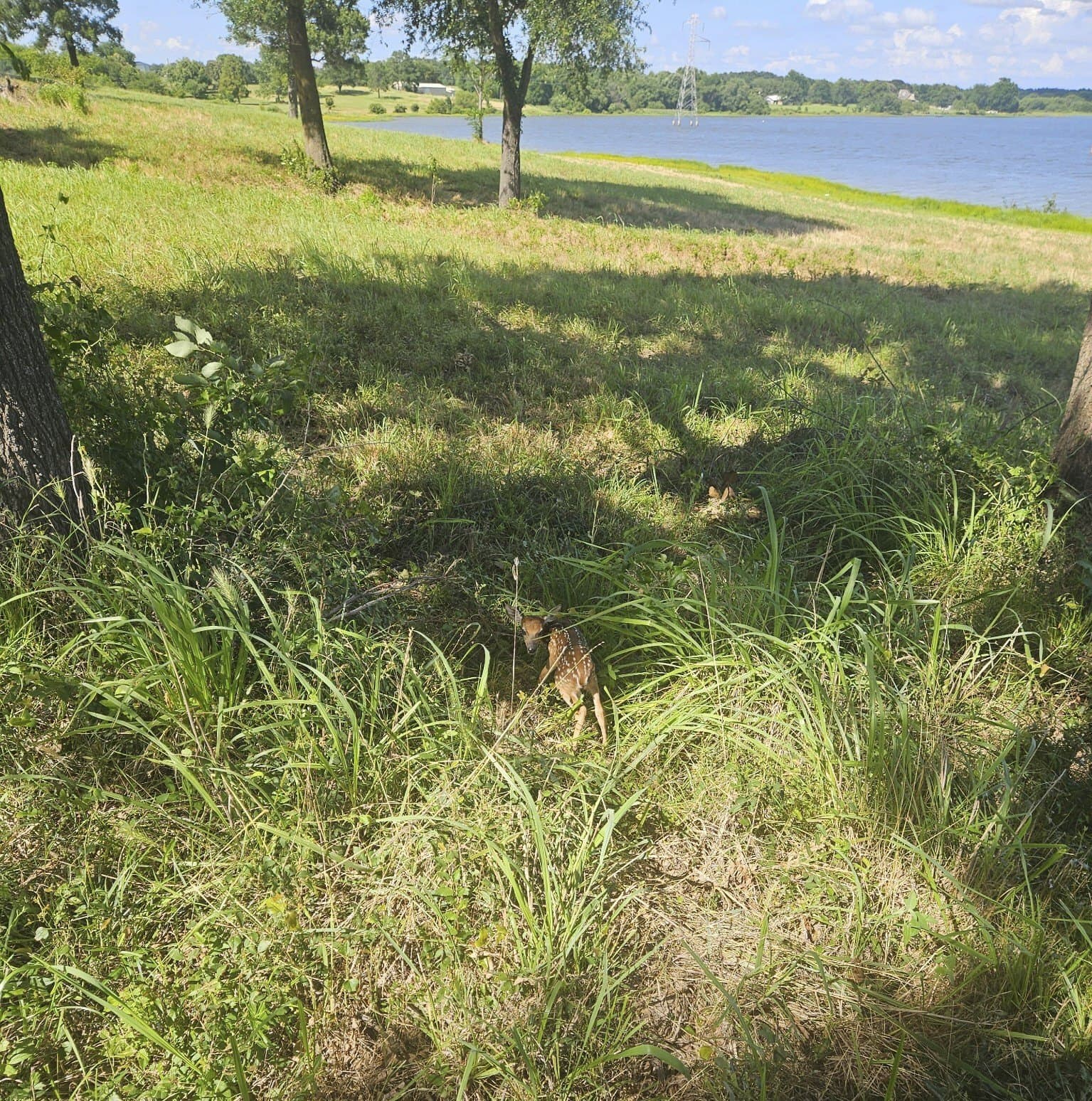 1.32 acres in Rains County - photo 26