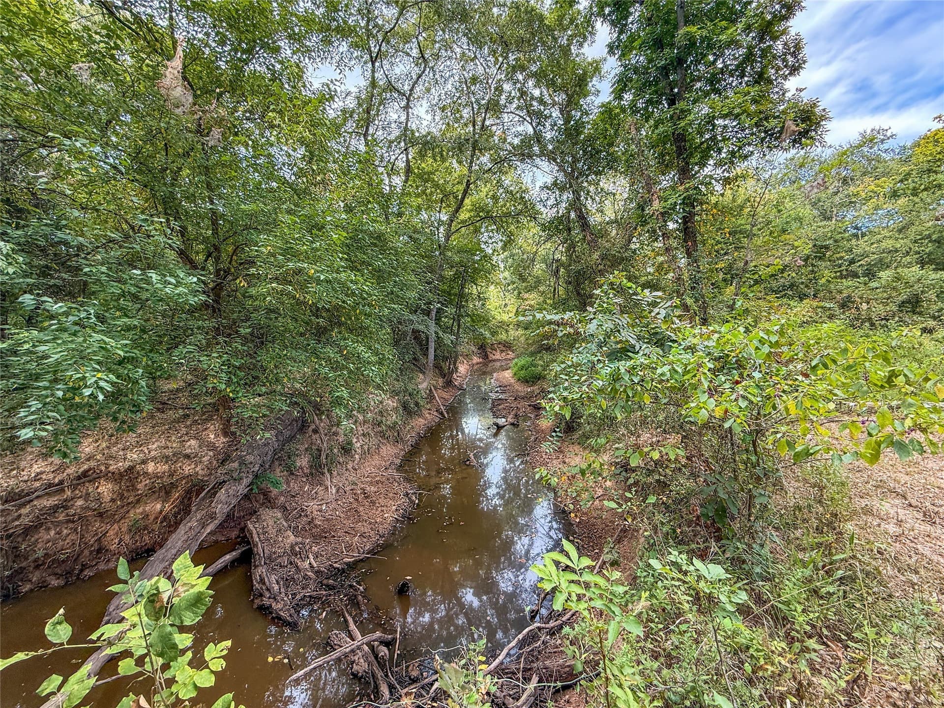 62.57 acres in Lamar County - photo 10