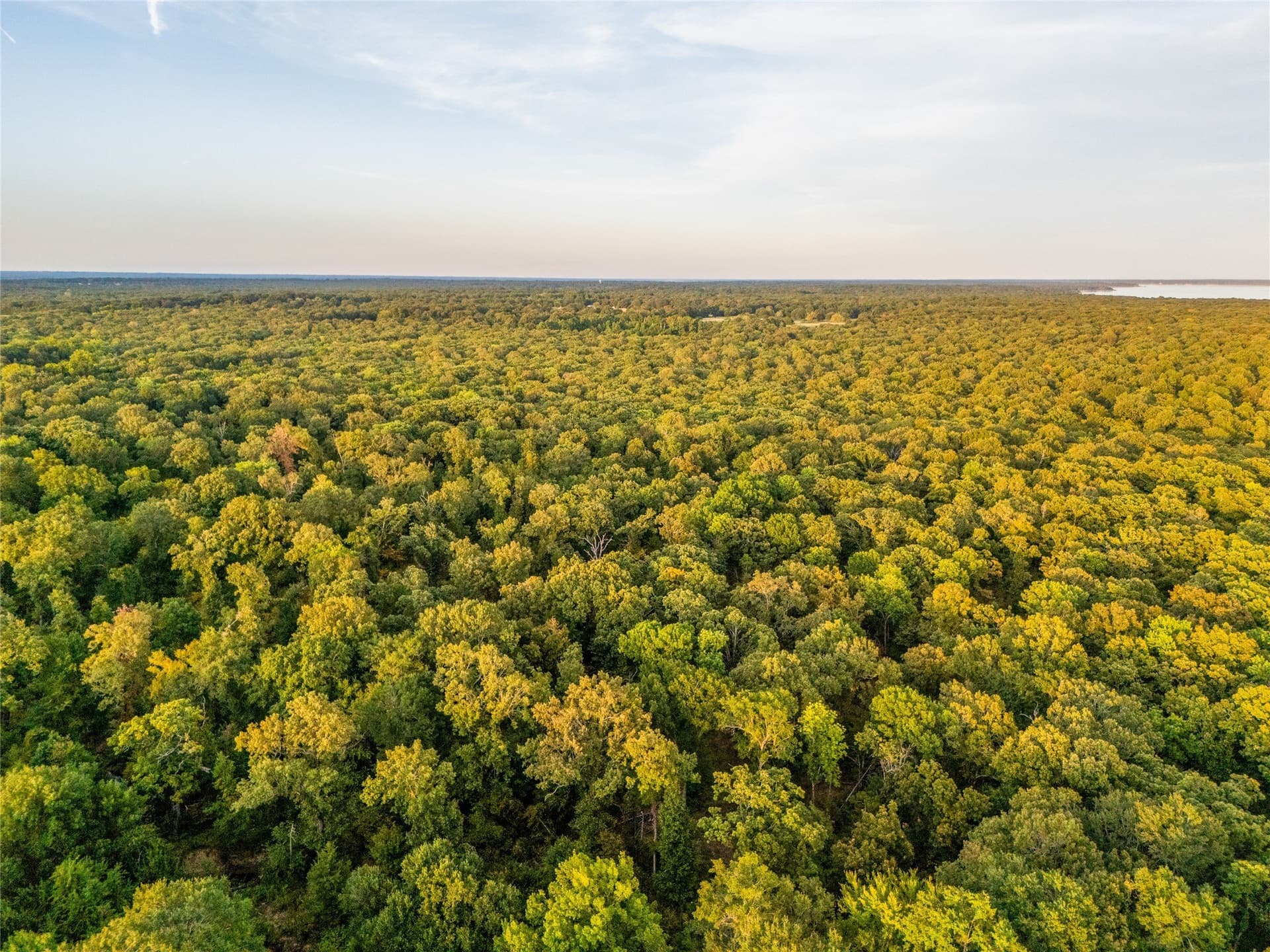 62.57 acres in Lamar County - photo 9
