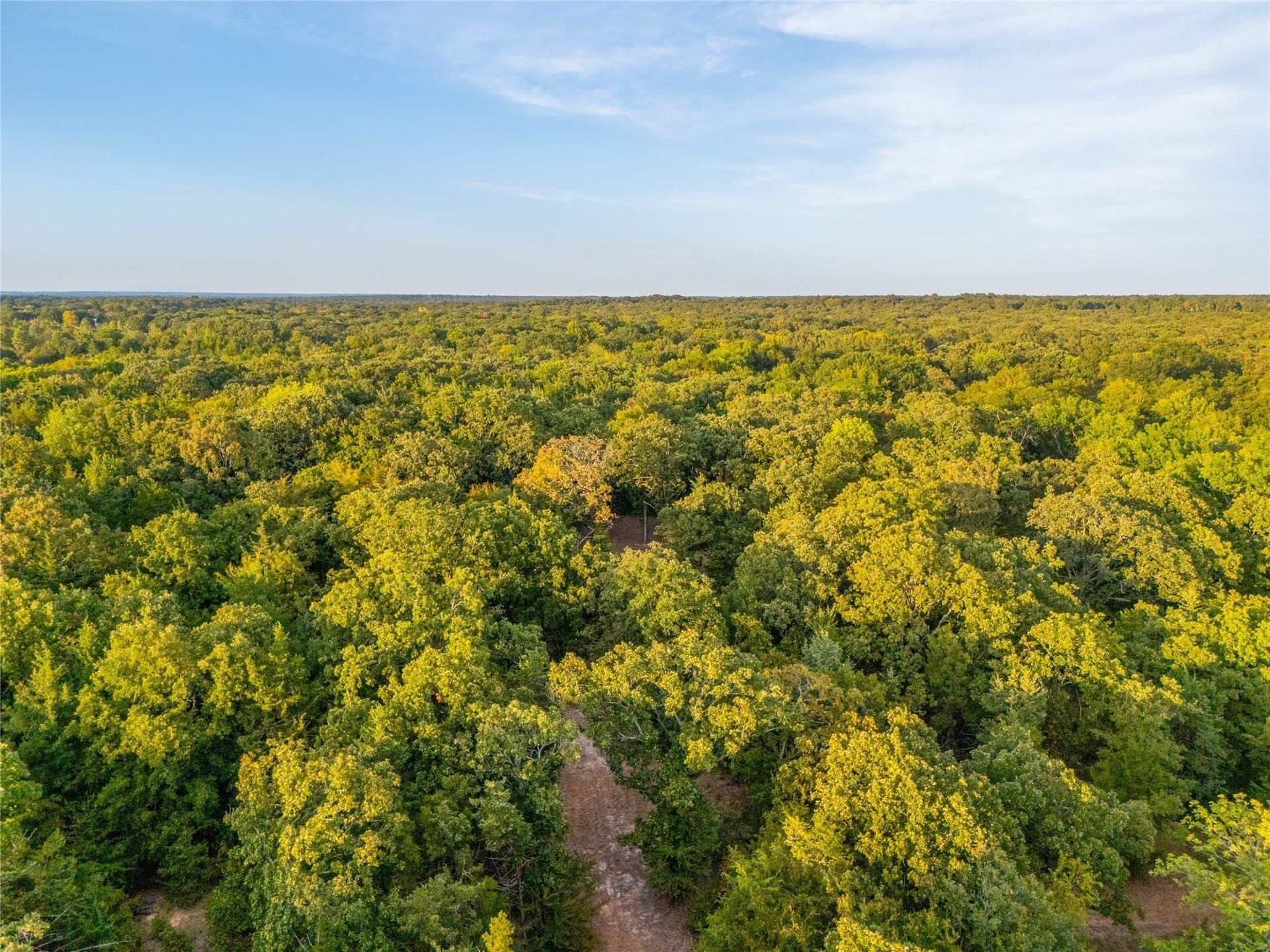 62.57 acres in Lamar County - photo 2
