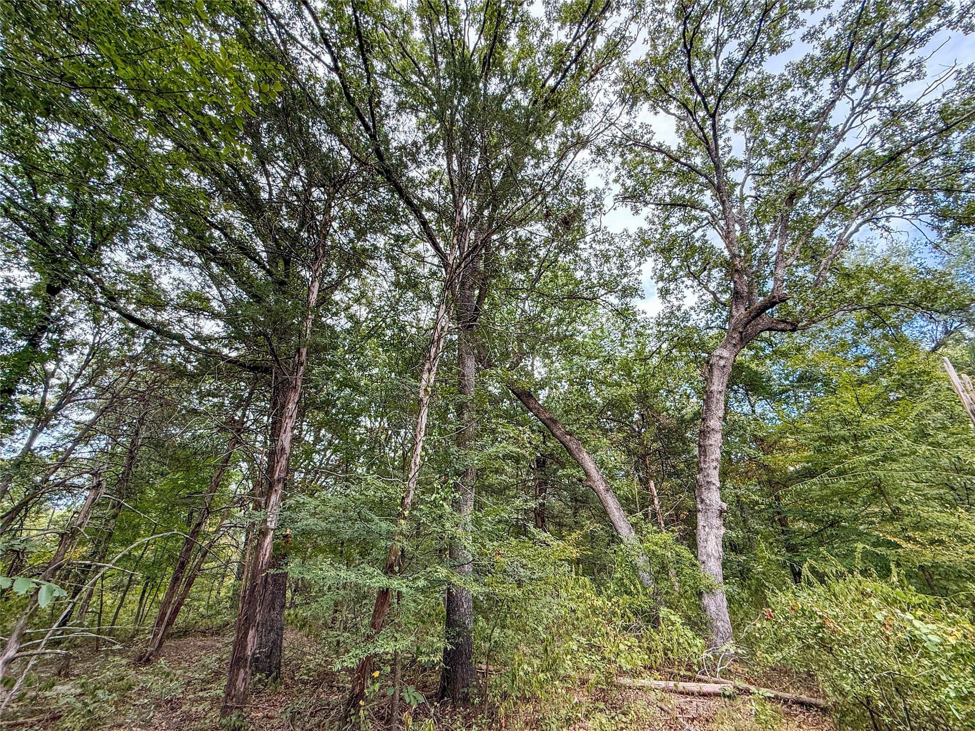 62.57 acres in Lamar County - photo 29
