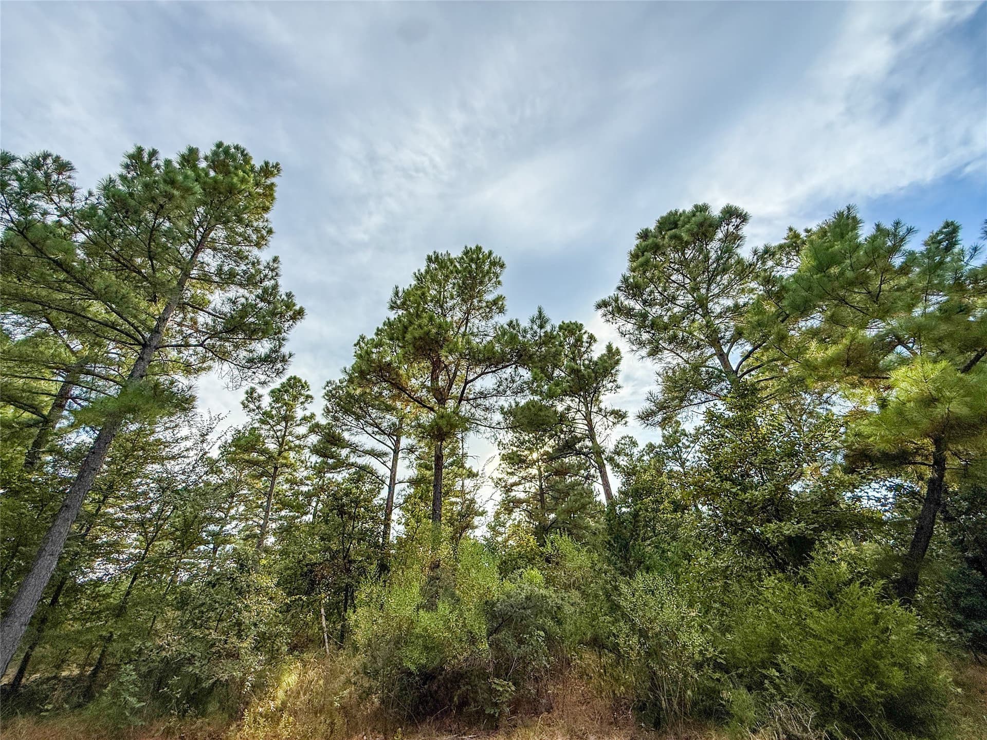 62.57 acres in Lamar County - photo 30