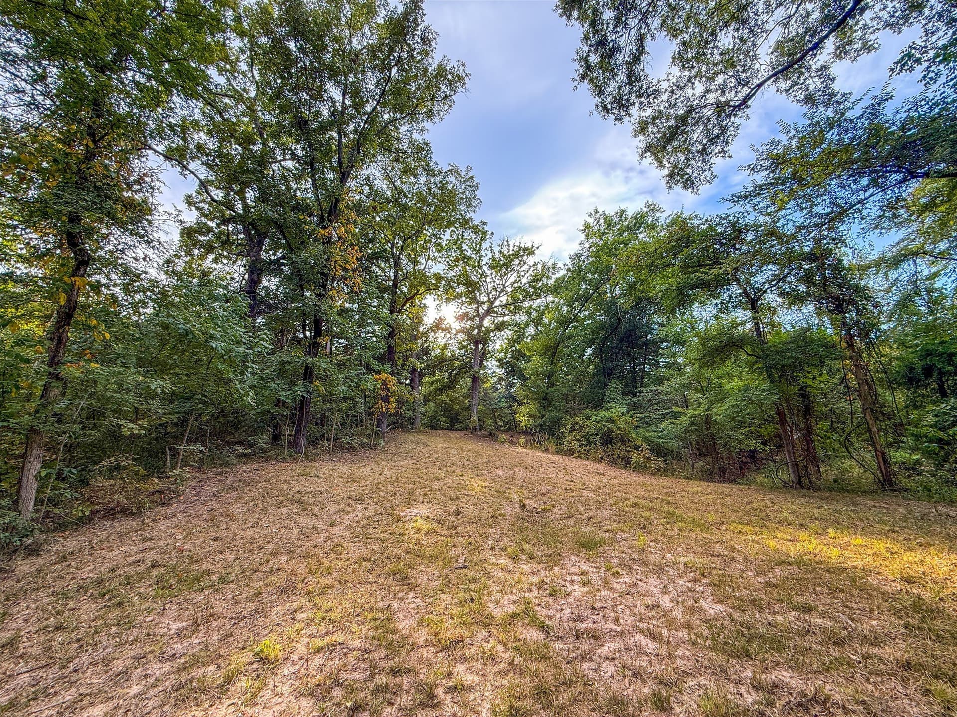 62.57 acres in Lamar County - photo 18