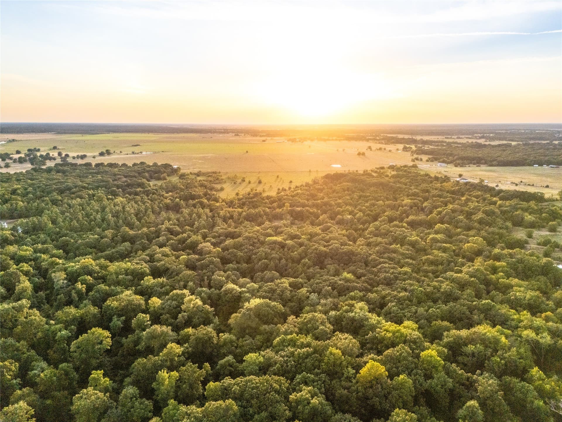 62.57 acres in Lamar County - photo 7