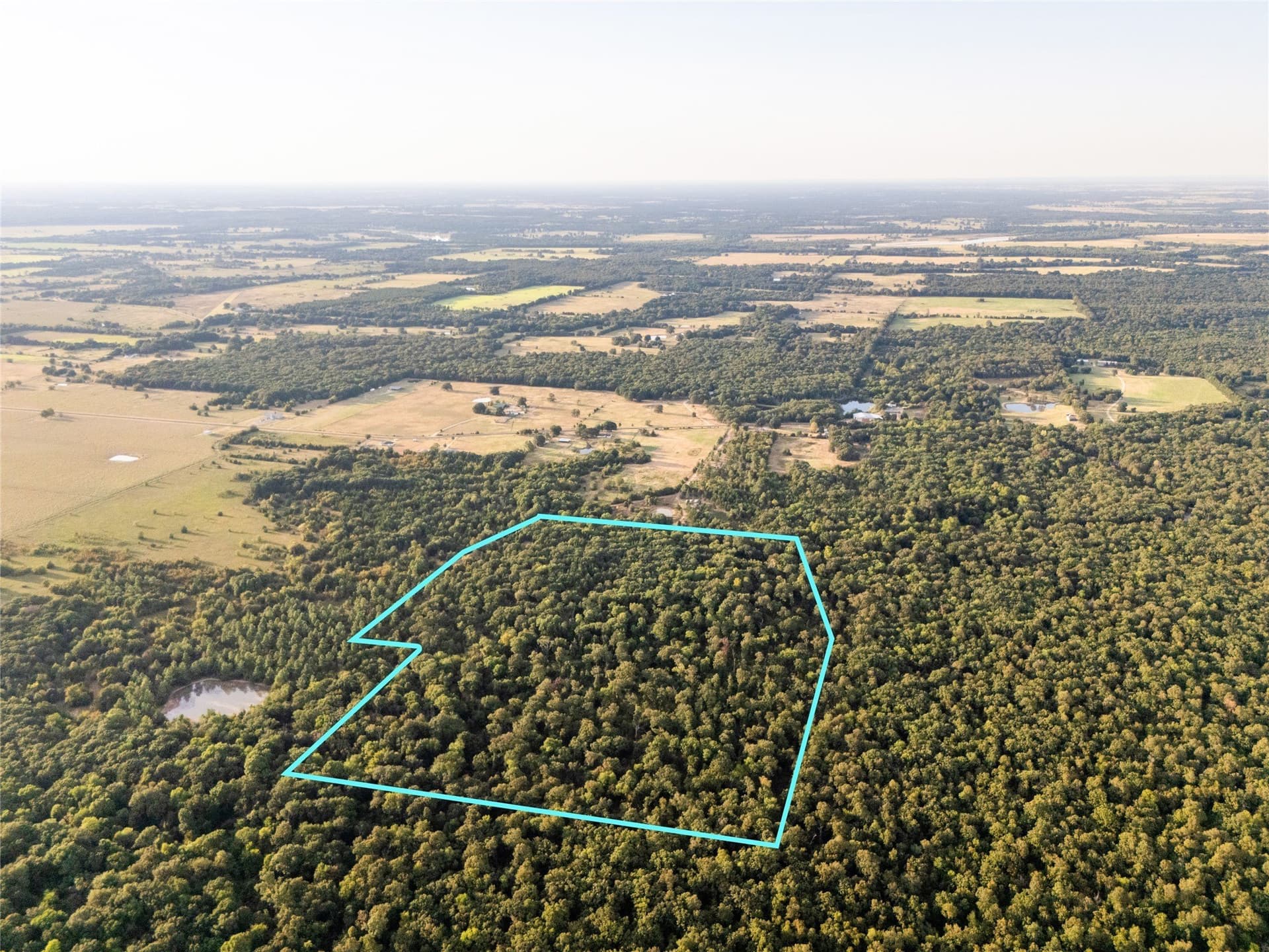 62.57 acres in Lamar County - photo 25