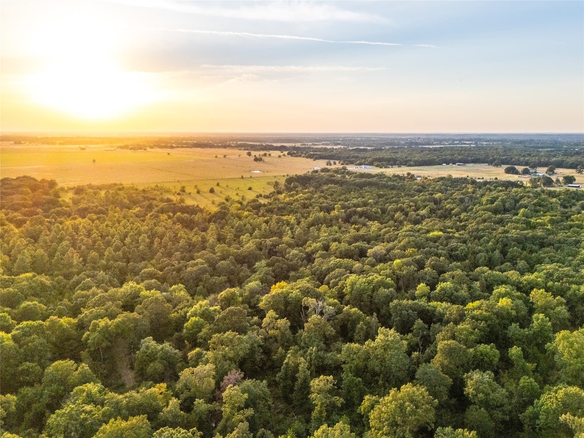62.57 acres in Lamar County