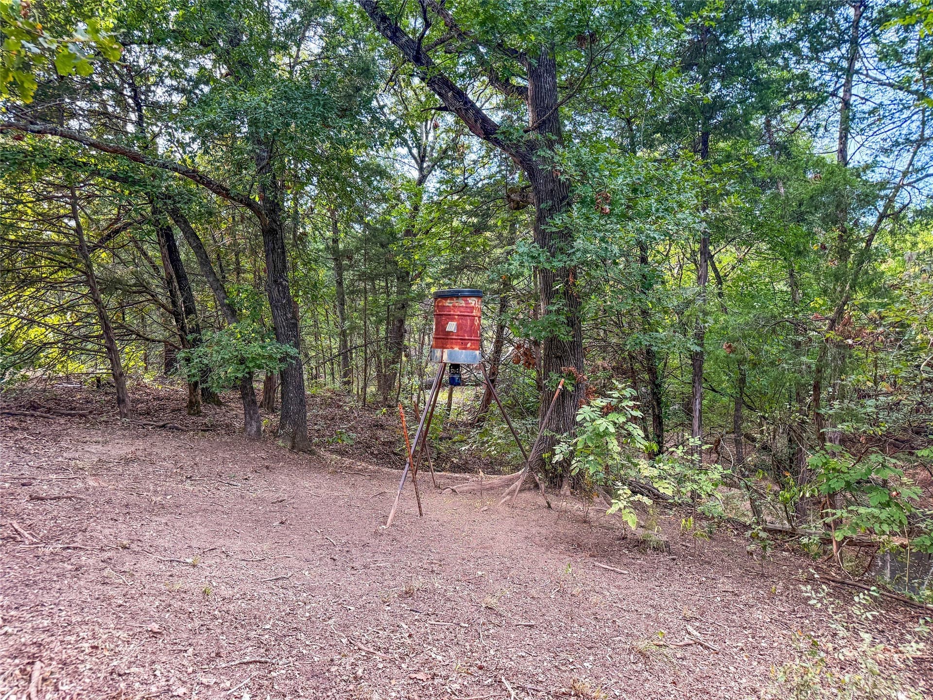 62.57 acres in Lamar County - photo 16