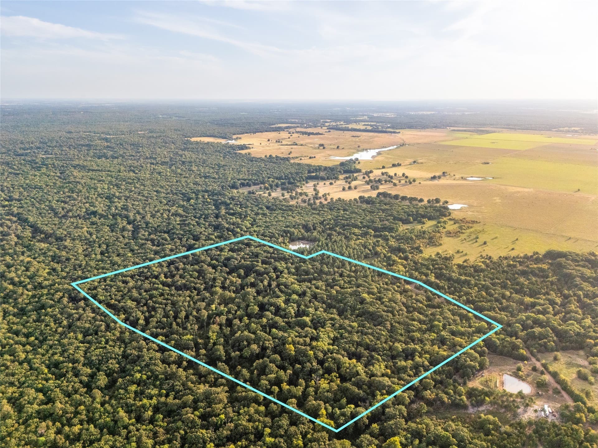 62.57 acres in Lamar County - photo 24