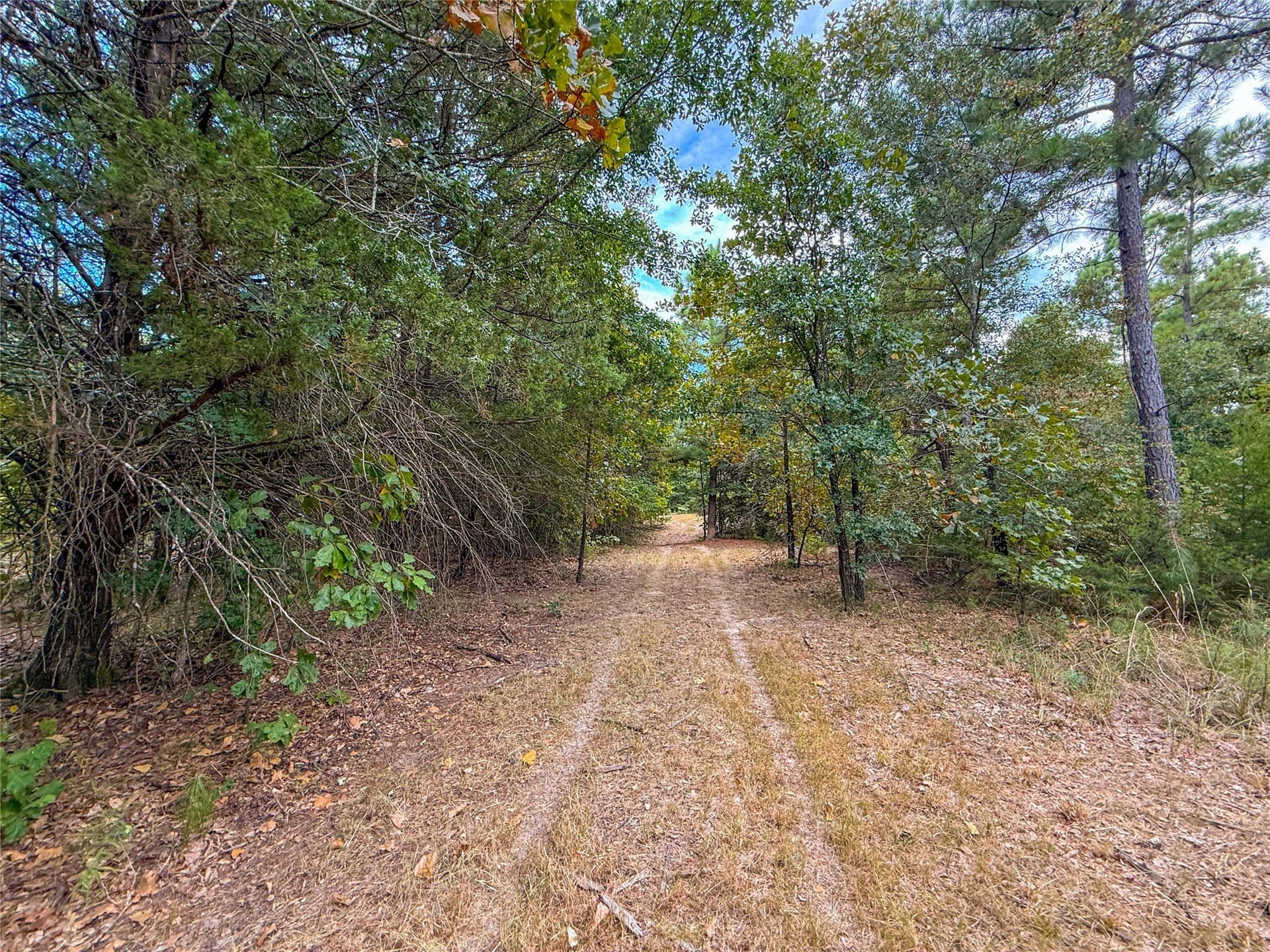 62.57 acres in Lamar County - photo 8