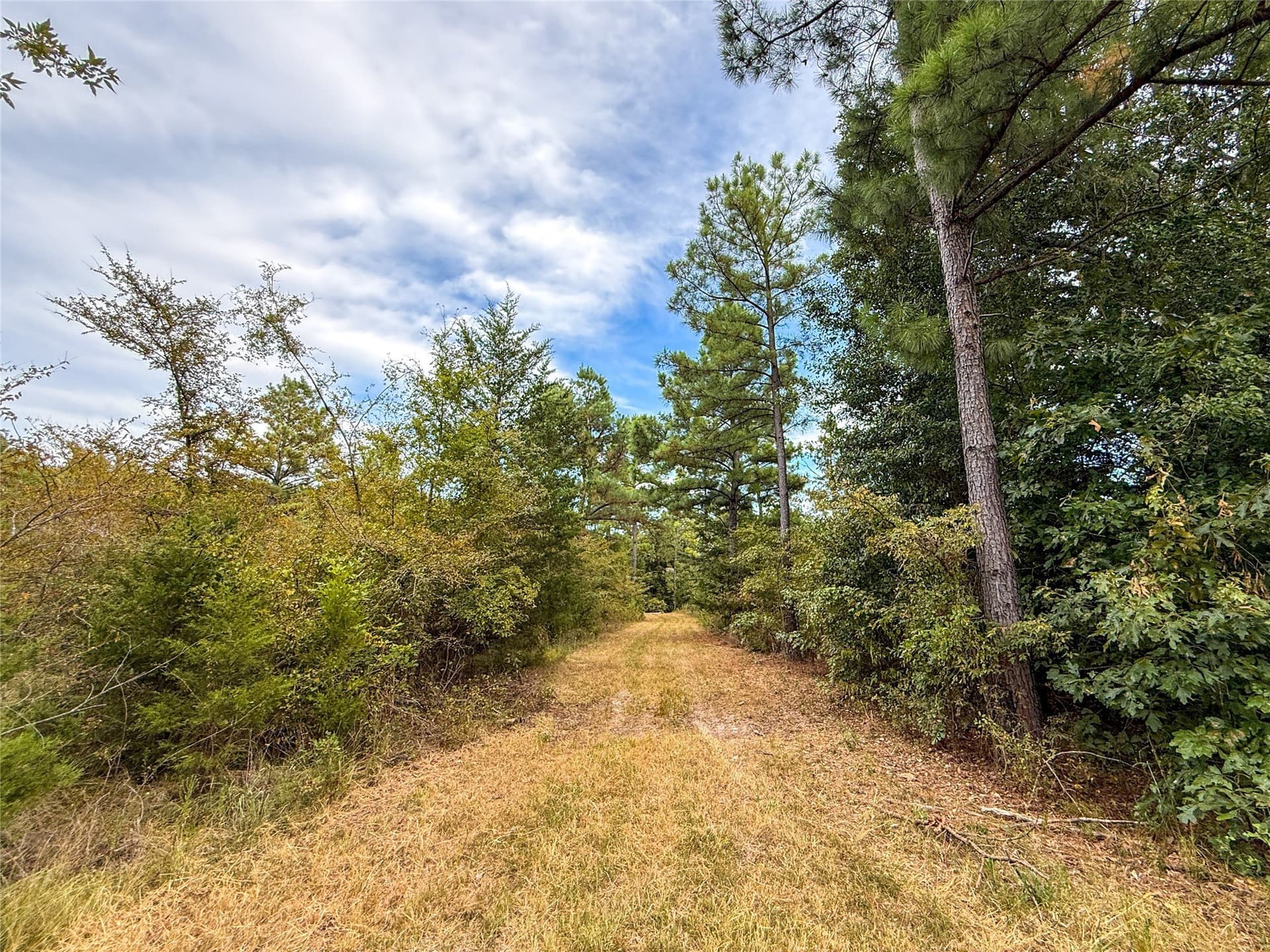 62.57 acres in Lamar County - photo 5
