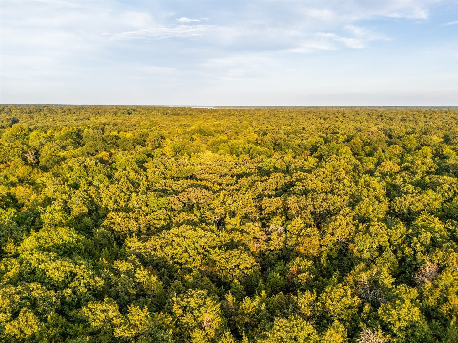 62.57 acres in Lamar County - photo 21
