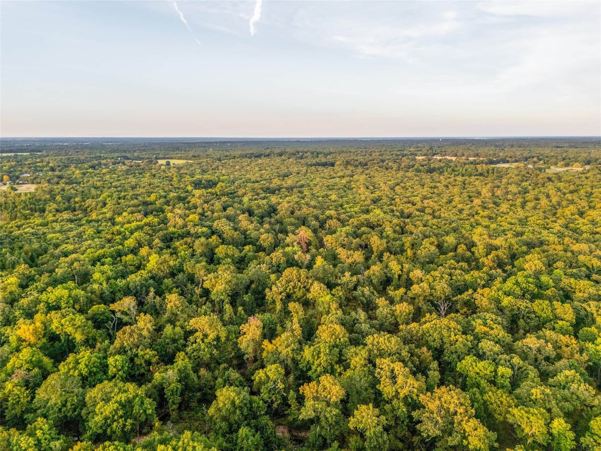 62.57 acres in Lamar County - photo 17