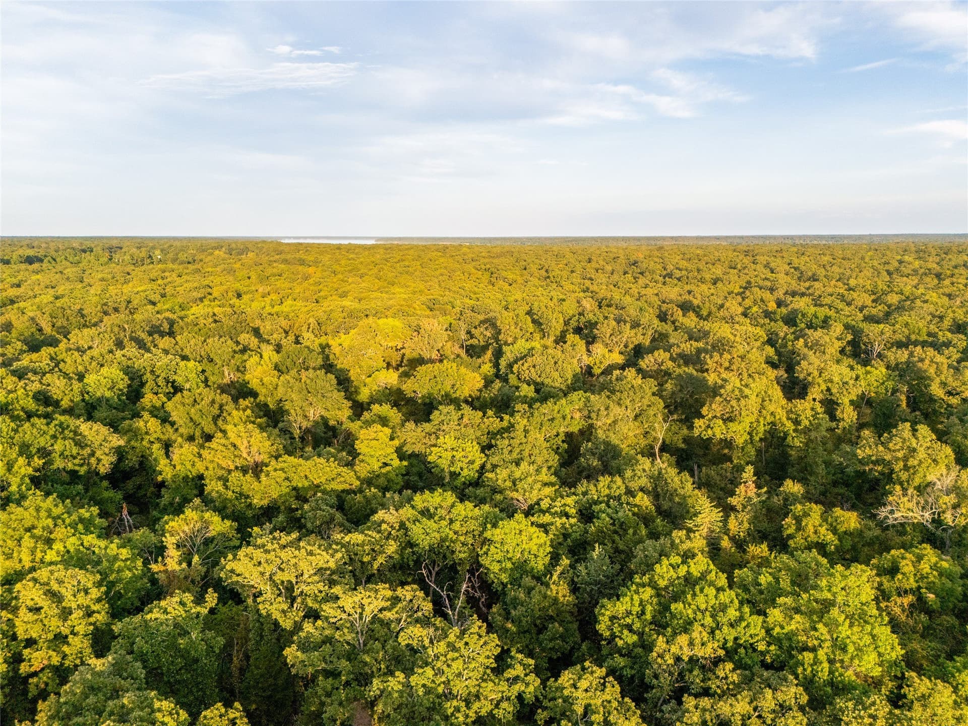 62.57 acres in Lamar County - photo 6