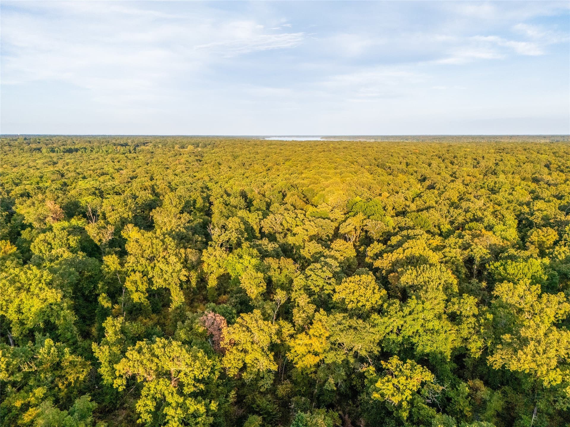 62.57 acres in Lamar County - photo 15