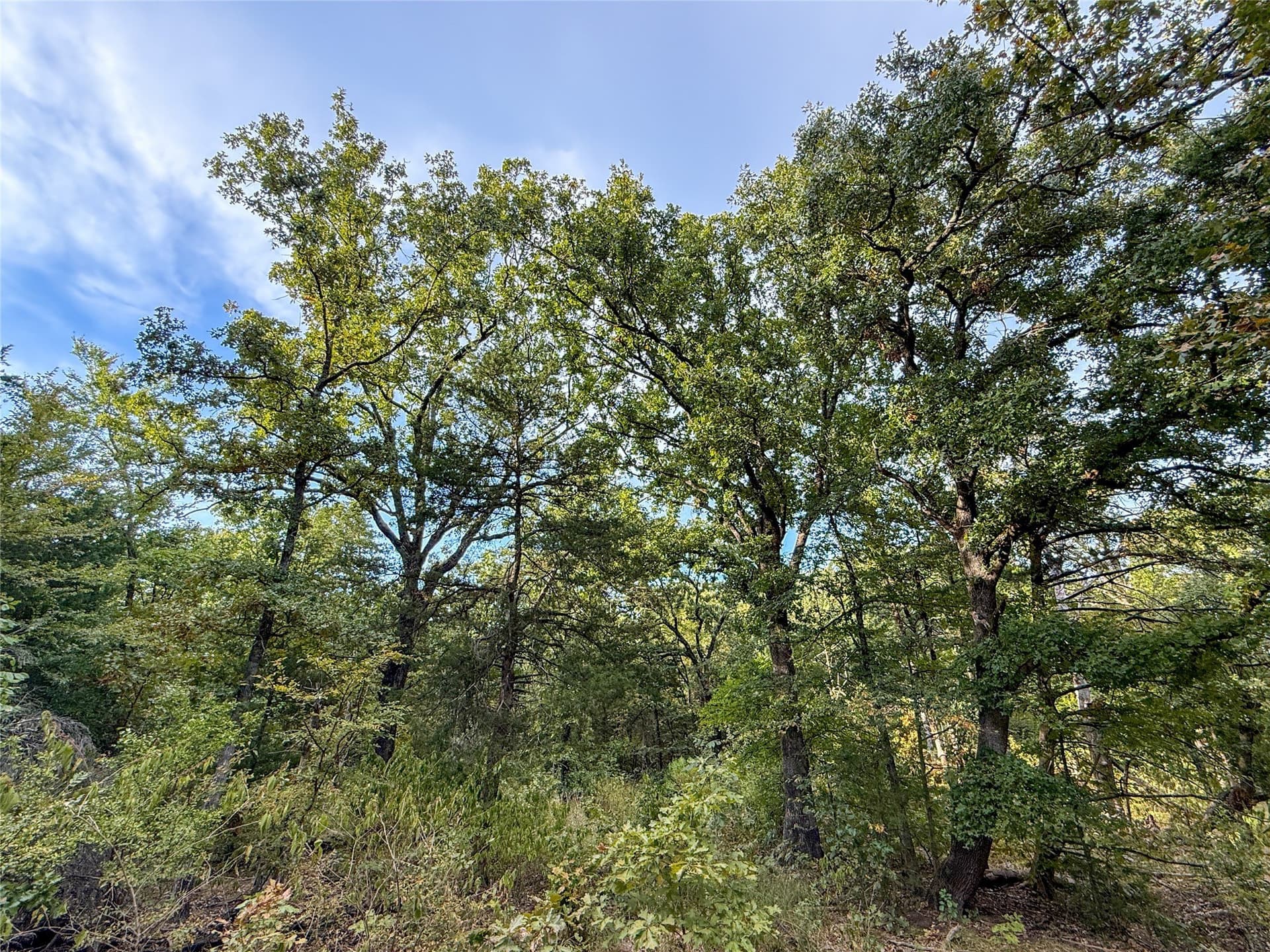 62.57 acres in Lamar County - photo 32