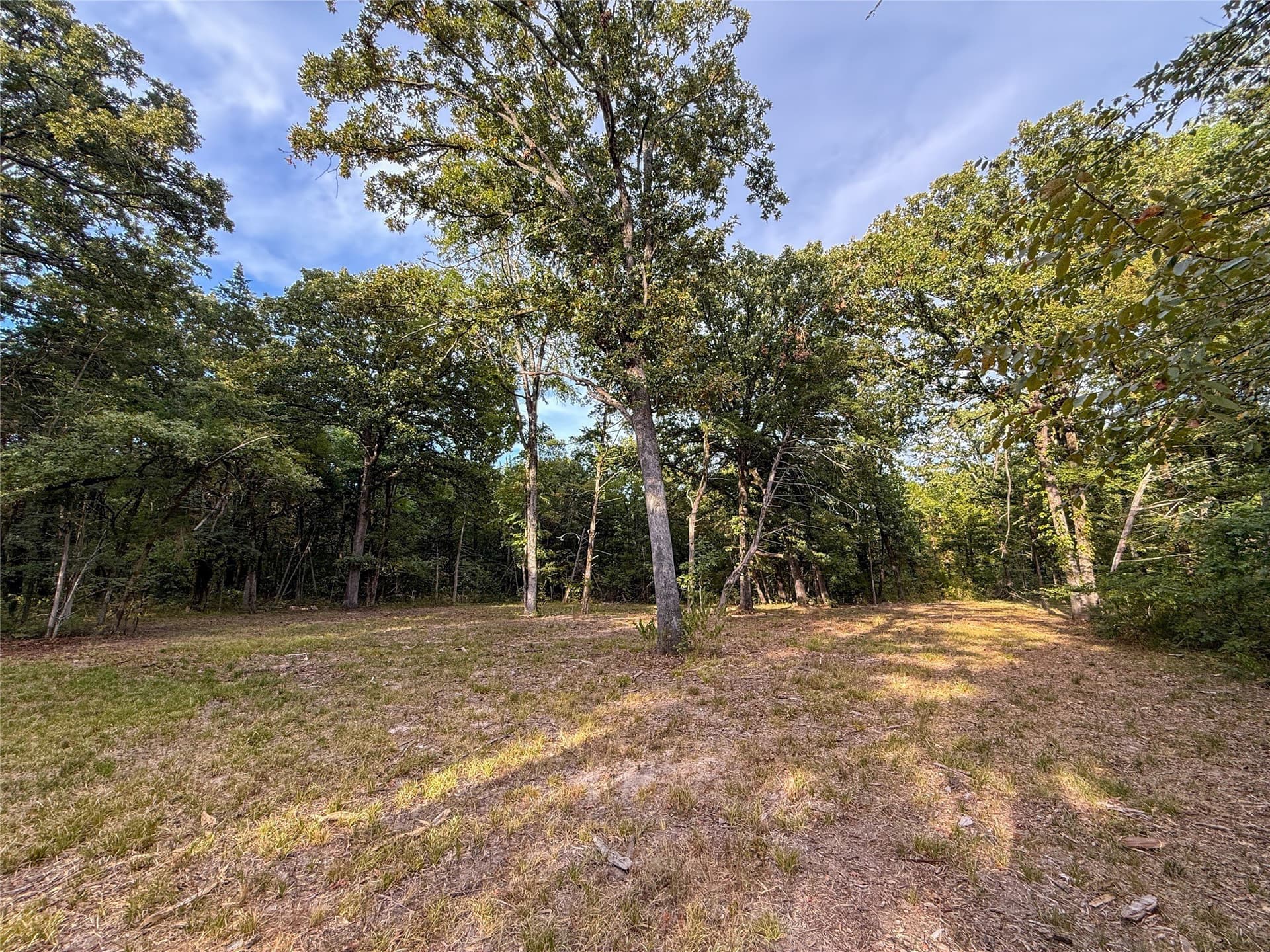 62.57 acres in Lamar County - photo 14