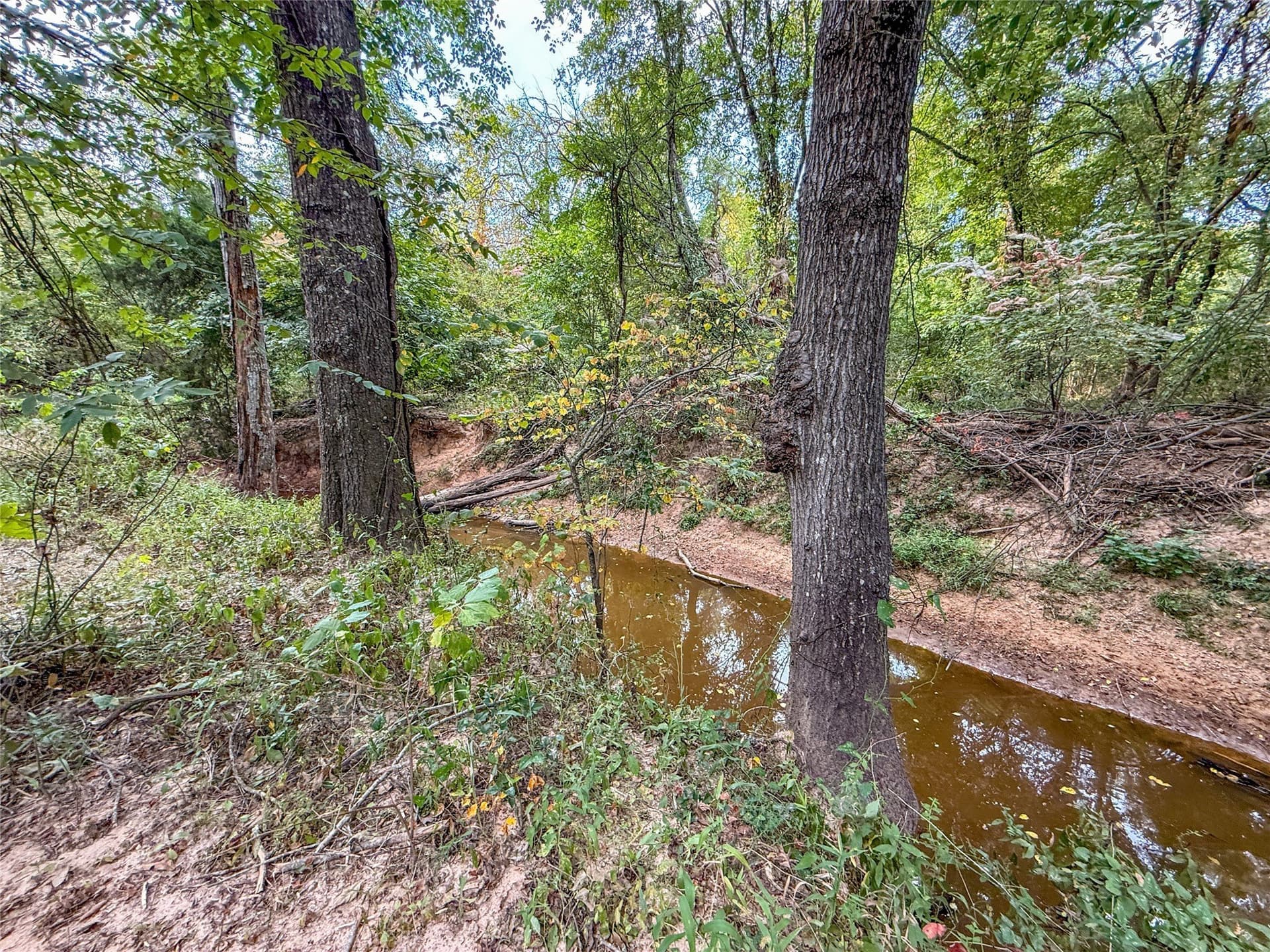 62.57 acres in Lamar County - photo 11