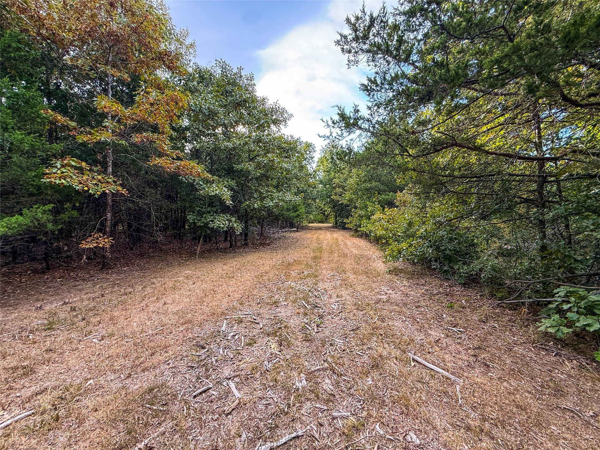 62.57 acres in Lamar County - photo 20