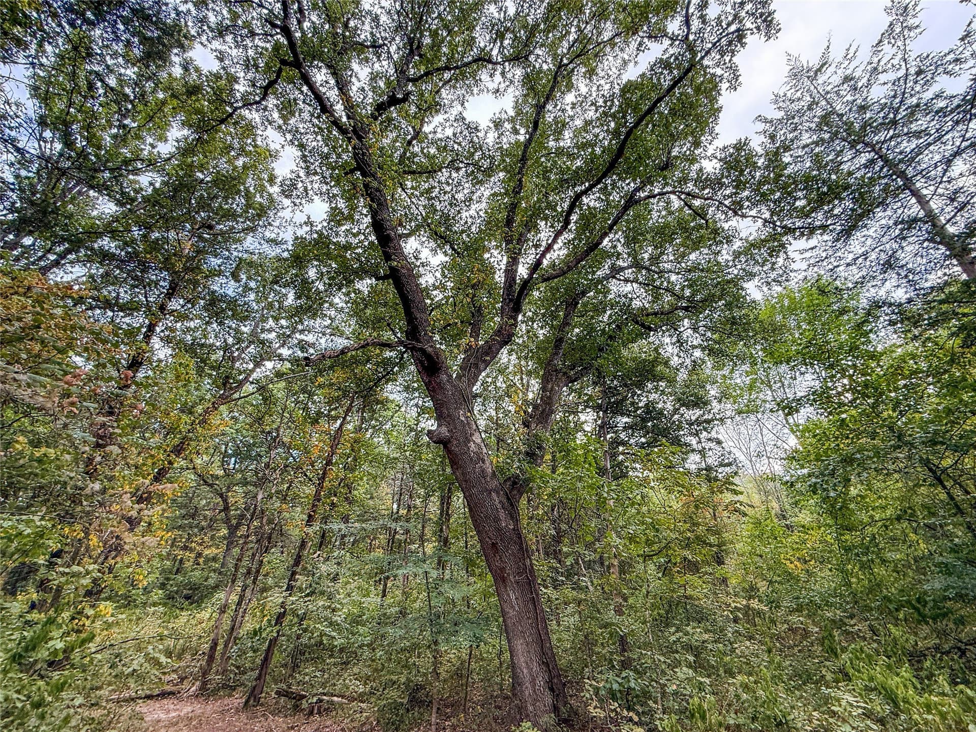 62.57 acres in Lamar County - photo 28
