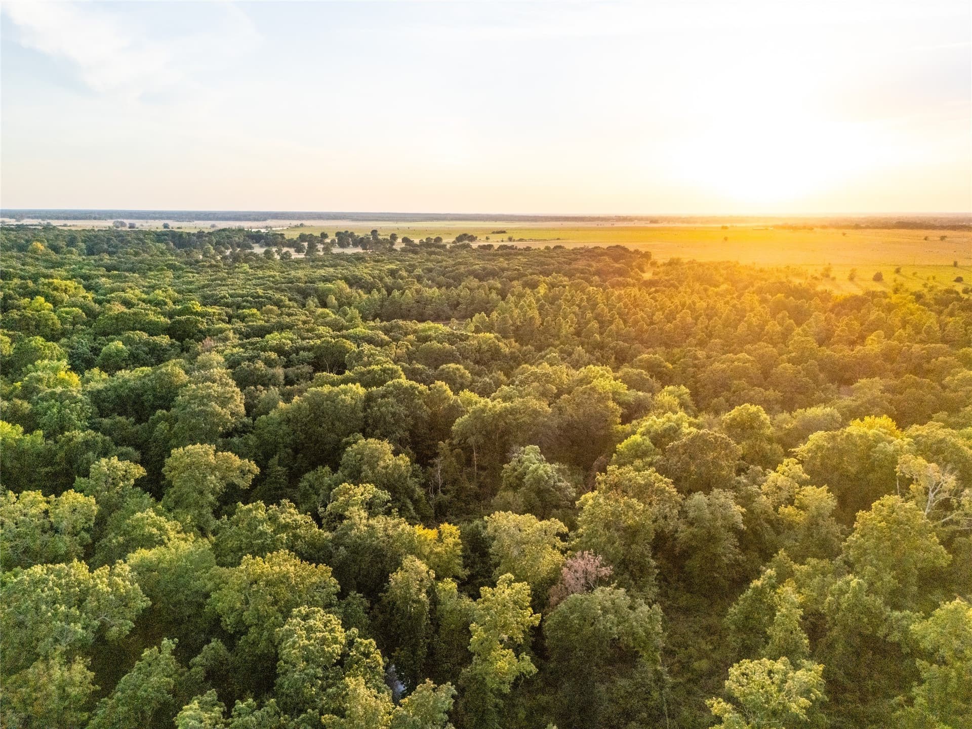 62.57 acres in Lamar County - photo 12