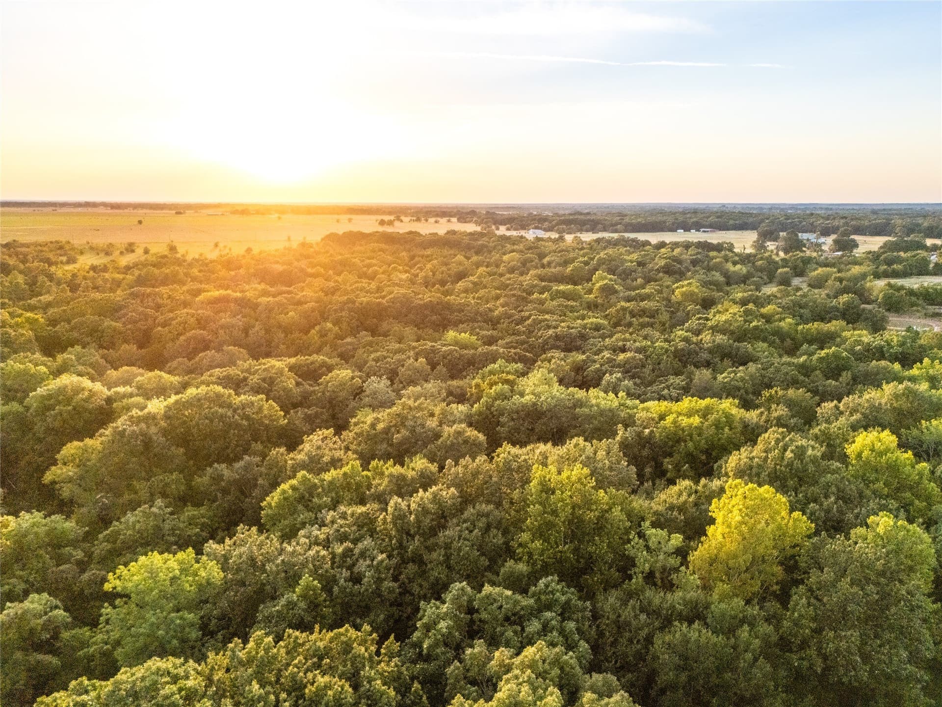 62.57 acres in Lamar County - photo 23