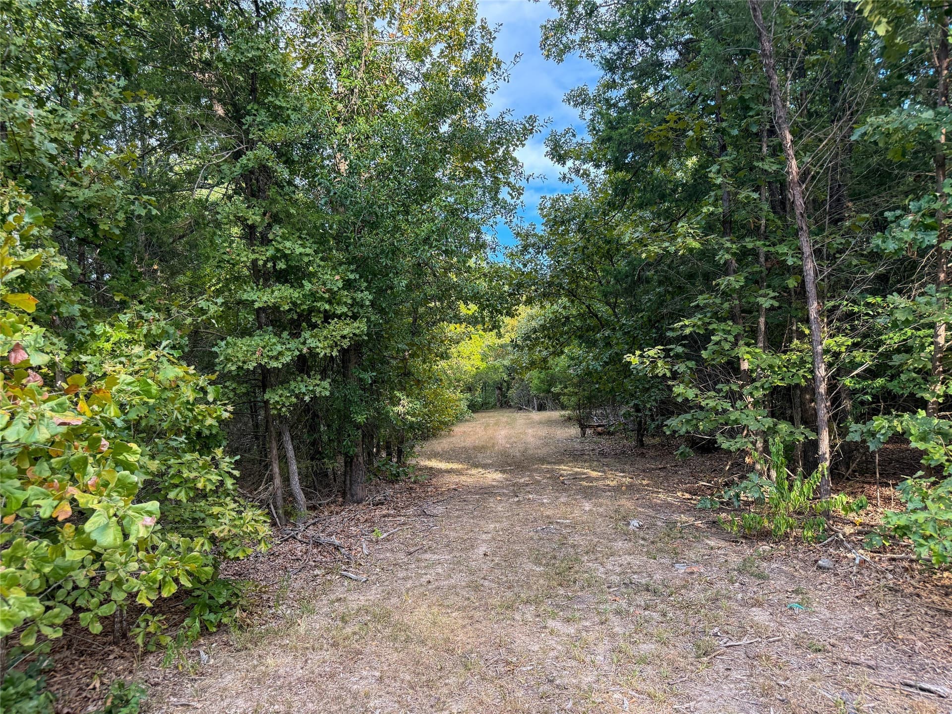 62.57 acres in Lamar County - photo 31