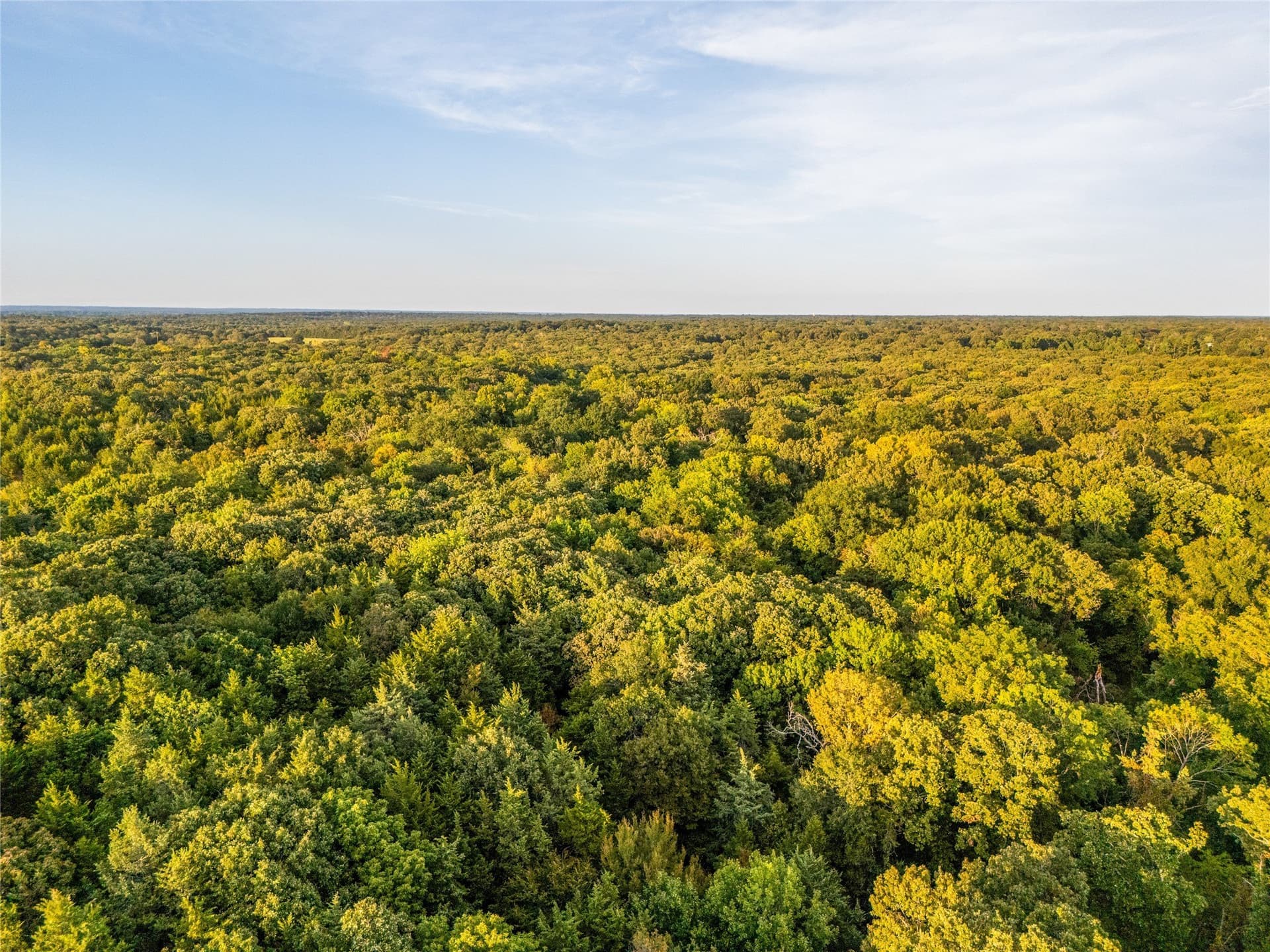 62.57 acres in Lamar County - photo 22
