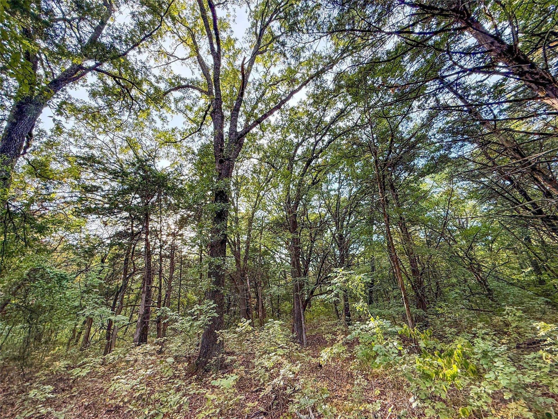 62.57 acres in Lamar County - photo 34