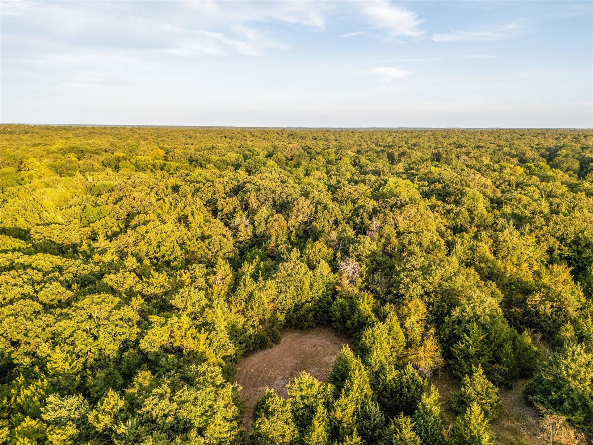 62.57 acres in Lamar County - photo 4