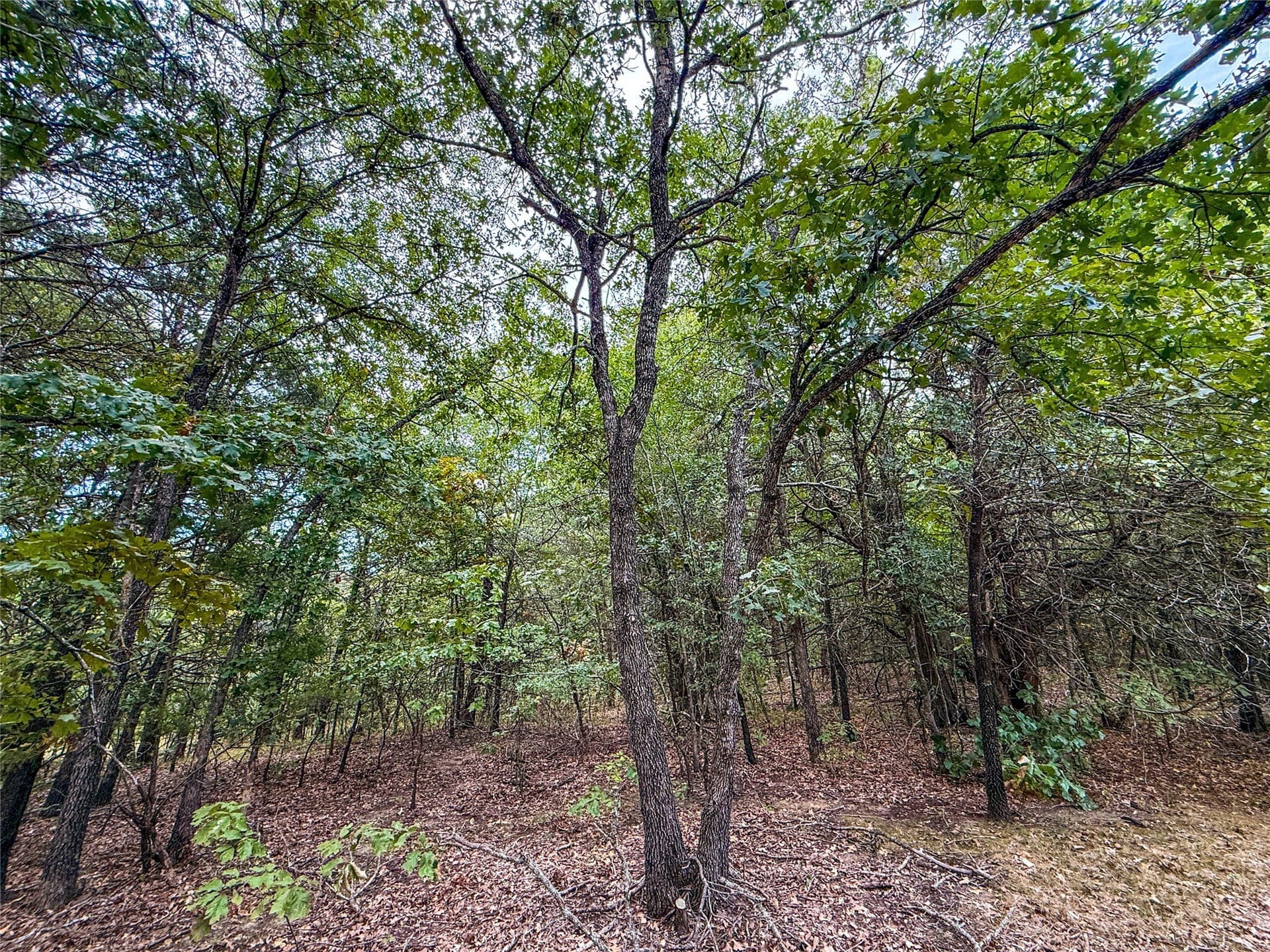 62.57 acres in Lamar County - photo 27