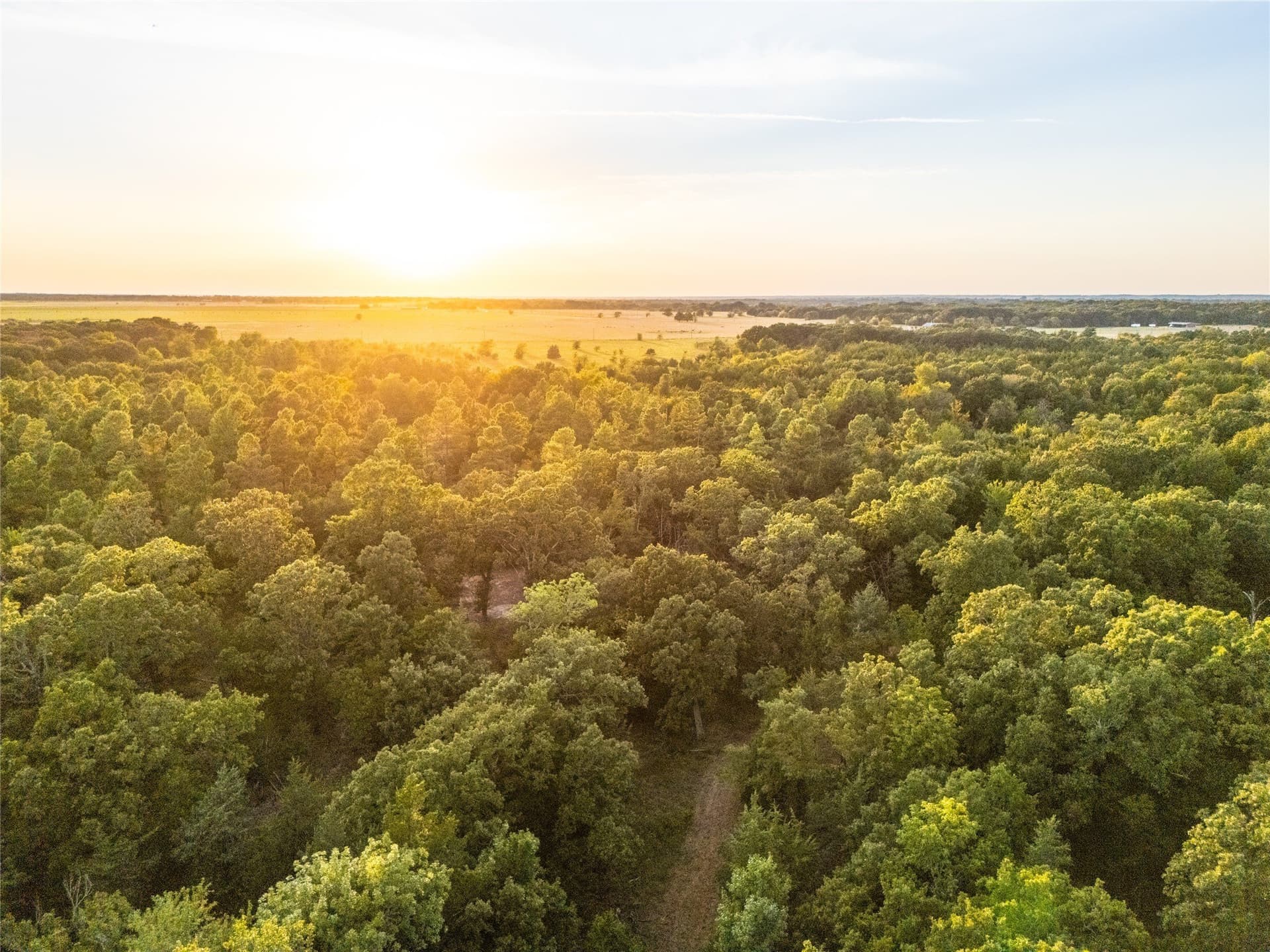 62.57 acres in Lamar County - photo 13