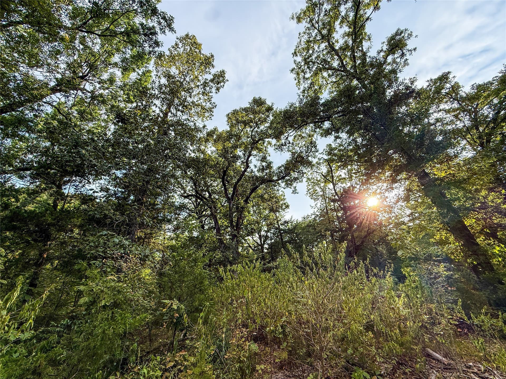 62.57 acres in Lamar County - photo 33