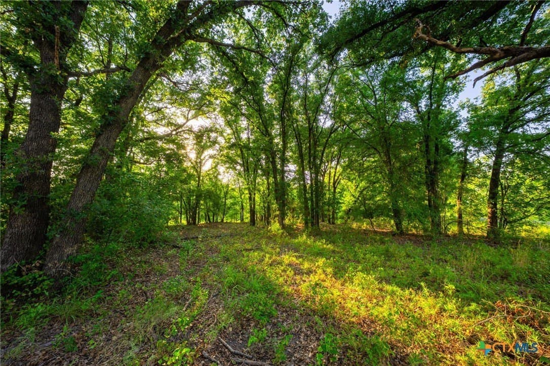 59 acres in Hood County - photo 29
