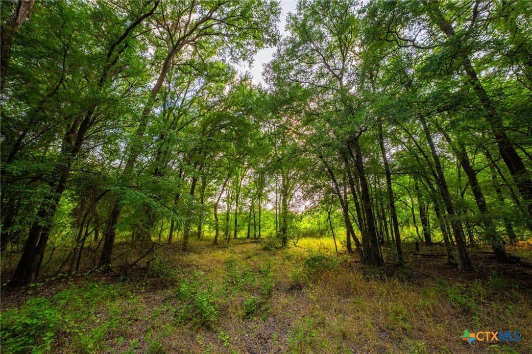 59 acres in Hood County - photo 26
