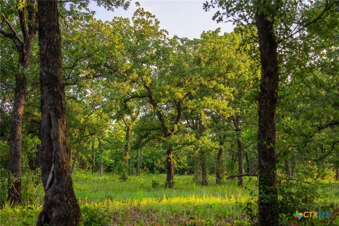 59 acres in Hood County - photo 11