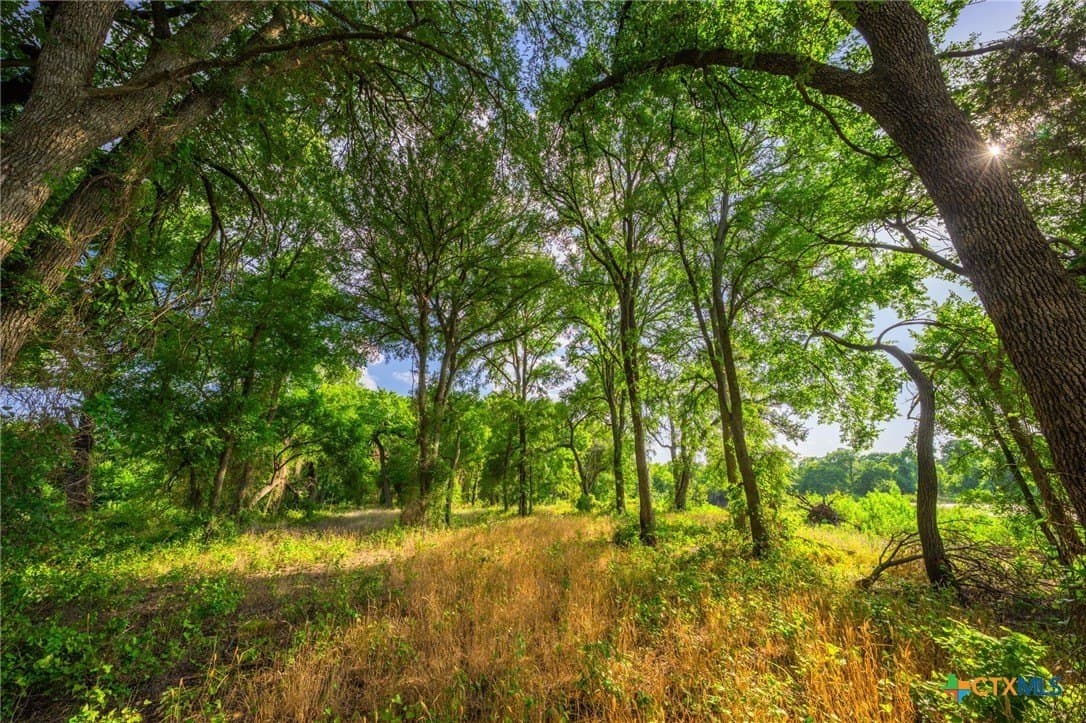 59 acres in Hood County - photo 8