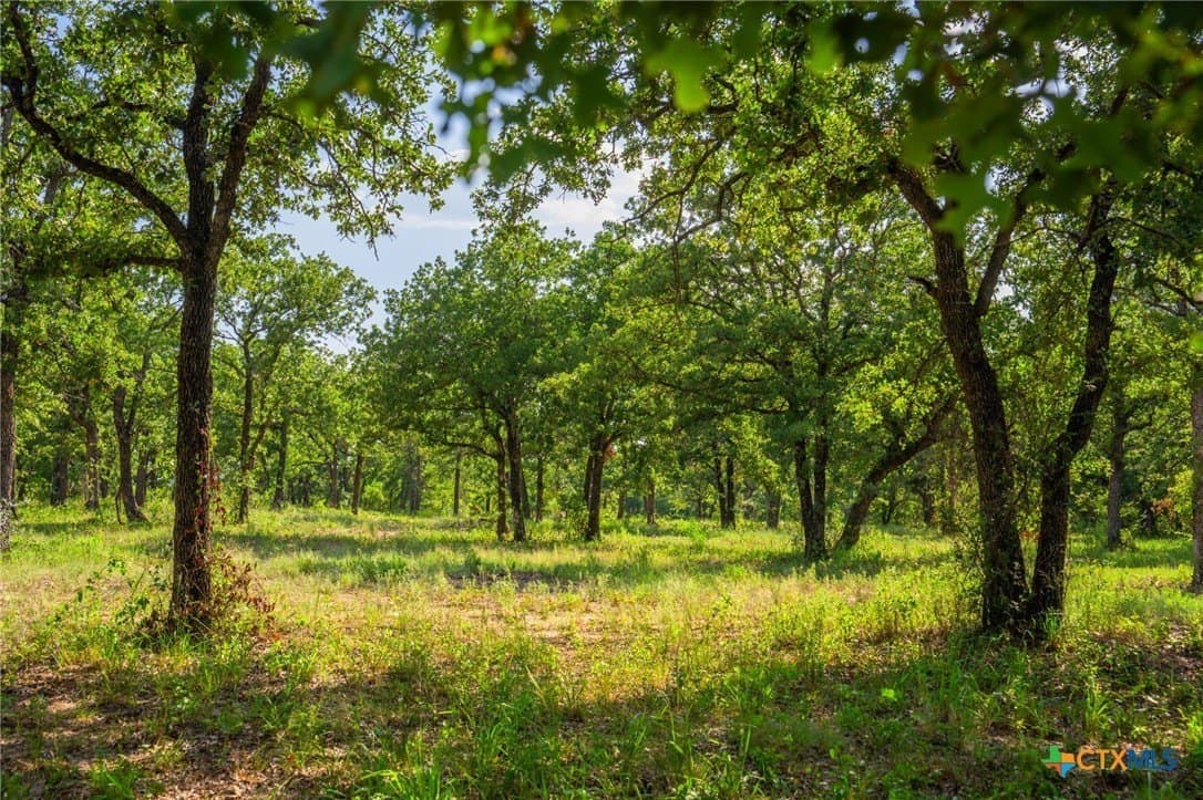 59 acres in Hood County - photo 16
