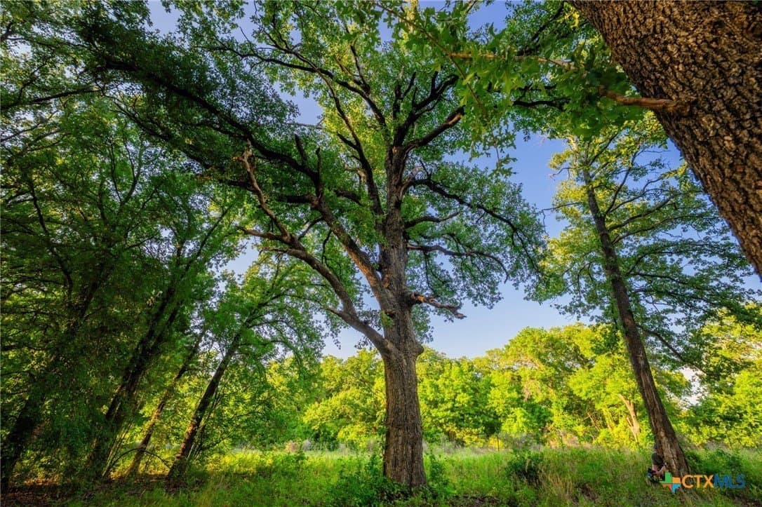 59 acres in Hood County - photo 20