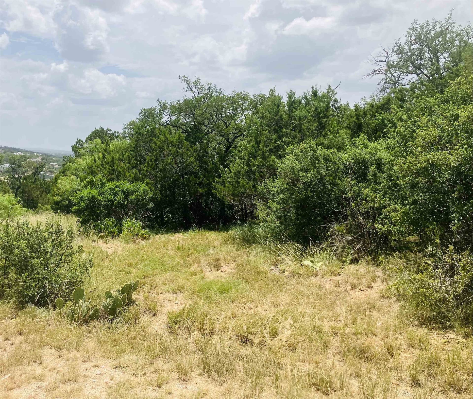 0.65 acres in Burnet County gallery image 2